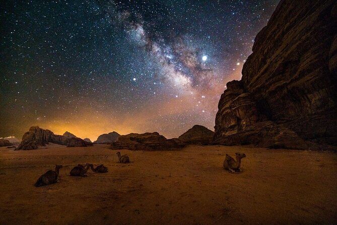 2-Day Tour to Petra, Wadi Rum, Wadi Mujib, Aqaba, and Dead Sea - Who Is This Tour Best Suited For?