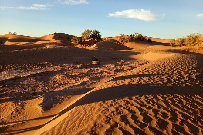 2-day trek - In the footsteps of beetles - The Experience: Authenticity Meets Adventure