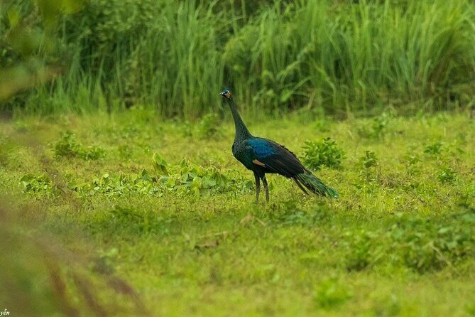 2-Day Trekking & Biking Nam Cat Tien National Park from HCM City - Who Should Consider This Tour?