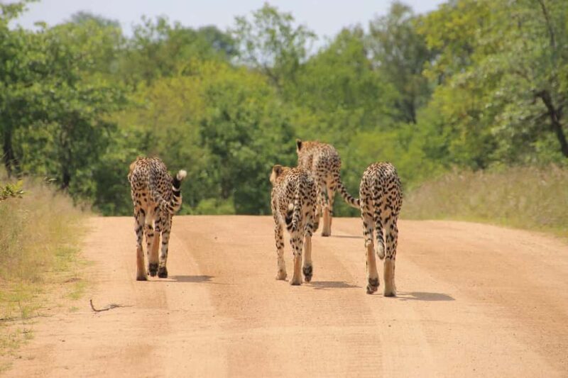 2-Day Tsavo East National Park Safari - Key Points