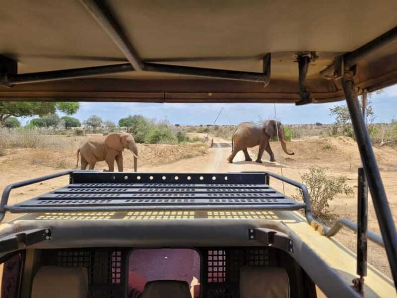 2-day Tsavo East safari with accommodation from Mombasa: - Final Thoughts: Is This Tour Worth It?
