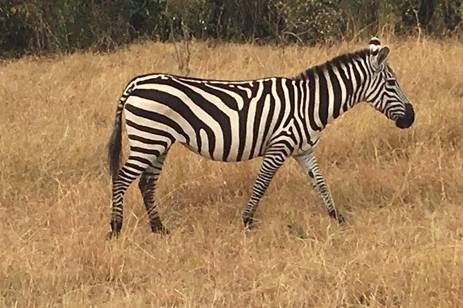 2-Day Tsavo National Park Private Safari from Mombasa - FAQ