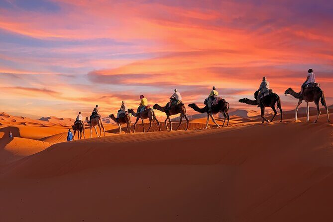 2-Day Tunisia Sahara Desert Camel Trek from Douz - Experience the Sahara: A 2-Day Camel Trek from Douz