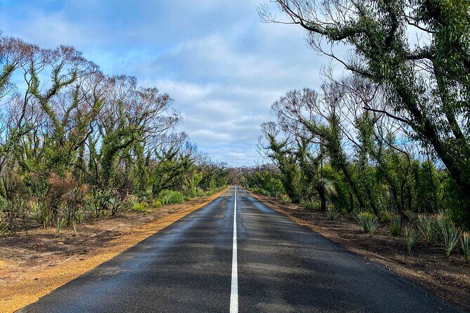 2 day Ultimate Kangaroo Island with return ferry - The Sum Up