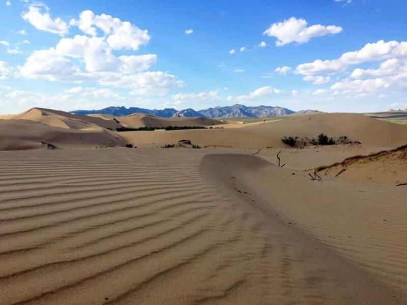 2 Day / Visit Khar kharom and Elsen tasarkhai sand dune - The Sum Up: Who Should Consider This Tour?
