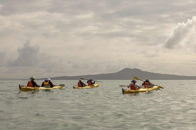2-Day Waiheke Island Sea Kayak Tour - Final Thoughts