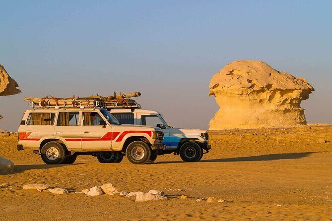 2-Day White & Black Desert and Oasis Tour from Cairo with Camping - Key Points