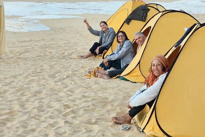 2-Day White & Black Desert and Oasis Tour from Cairo with Camping - What’s Included and How the Tour Works