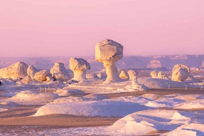 2-Day White & Black Desert and Oasis Tour from Cairo with Camping - The Experience and Its Value