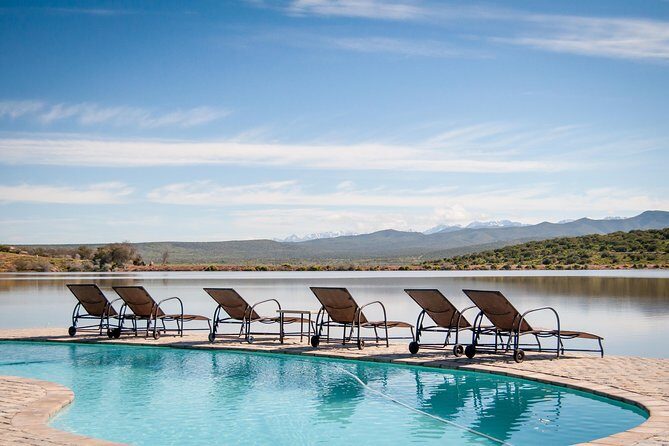 2 Day Wild Heart Western Cape Safari Tour with Private Transfers - In-Depth Review of the 2-Day Western Cape Safari Tour