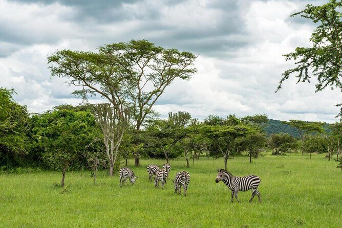 2-Day Wildlife Safari in Lake Mburo National Park - Key Points