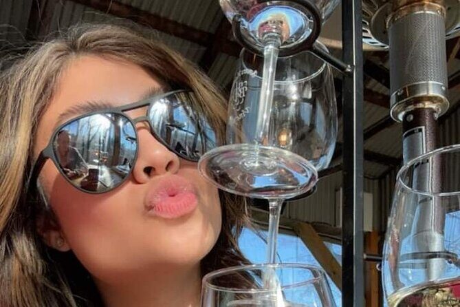 2 Day Wine Tour NON BUS Traverse City Wine Country 2 Peninsula - The Travel Experience: Comfort and Convenience