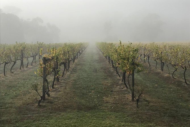 2-Day Yarra Valley Wine Tour with Luxury Vineyard Resort Stay - Frequently Asked Questions
