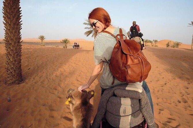 2-Day Zagora Desert Tour from Marrakech - Key Points