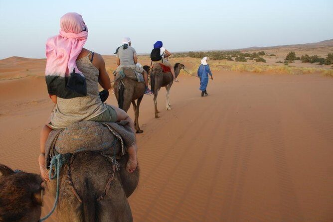 2-Day Zagora Desert Tour from Marrakech - Day 2: Exploring Ouarzazate and Returning to Marrakech