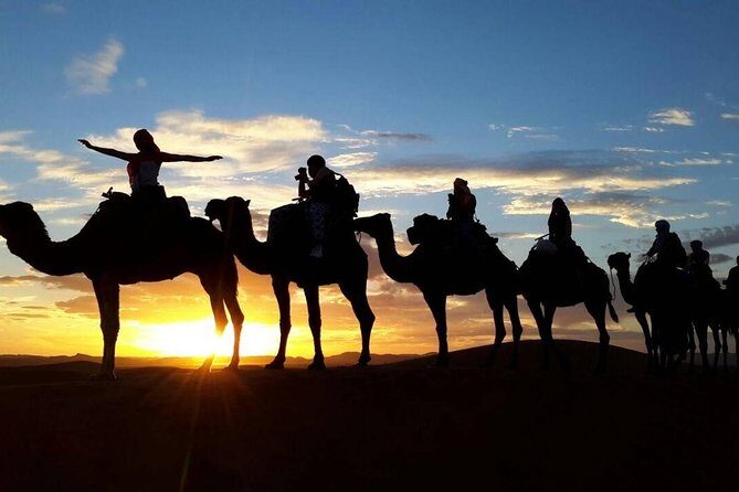 2-Day Zagora Desert Tour from Marrakech - Journey Through the Moroccan Countryside