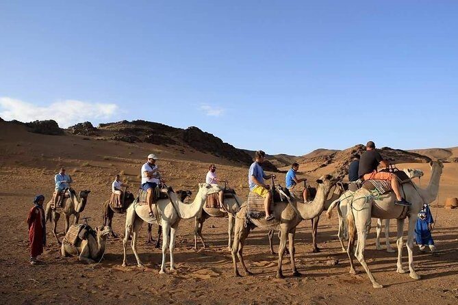 2-Day Zagora Tour from Marrakech Including the Atlas Mountains, Camel Trek and Desert Camp - Day 2: Dunes, Camels, and Return to Marrakech