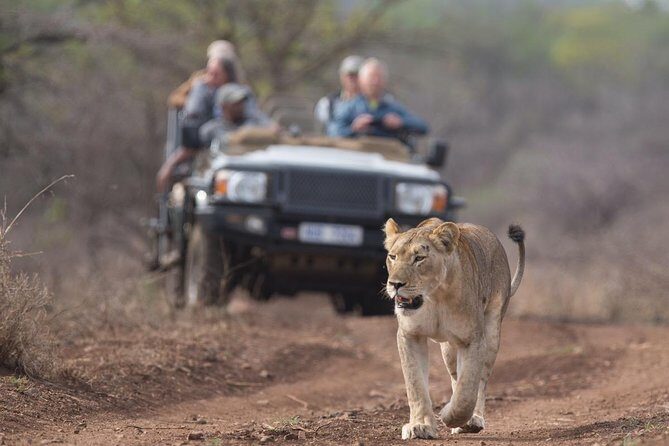 2 Day Zulu Safari Adventure from Durban - Key Points