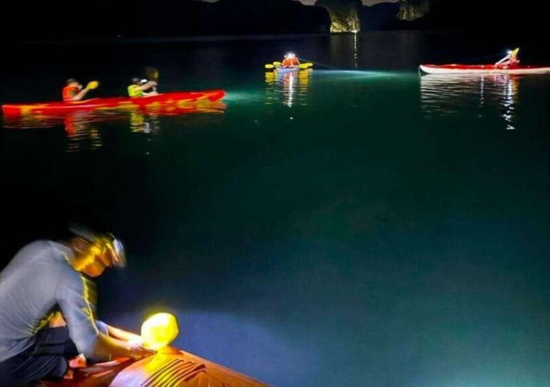 2 Days 1 Night Adventure: Cat Ba National Park, Lan Ha Bay - Final Thoughts: Who Will Love This Tour?