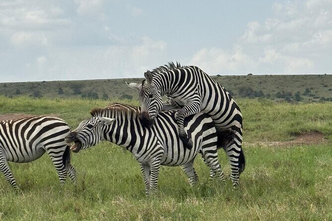 2 Days 1 Night Amboseli National Park Private Safari. - The Meeting Point and Departure