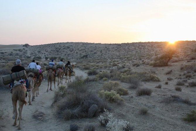 2 Days-1 Night Camel Tour - Who Will Love This Safari?