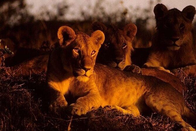 (2 Days, 1 Night) Day & Night Game Drive Tsavo East National Park - A Deep Dive into the Tsavo East Experience