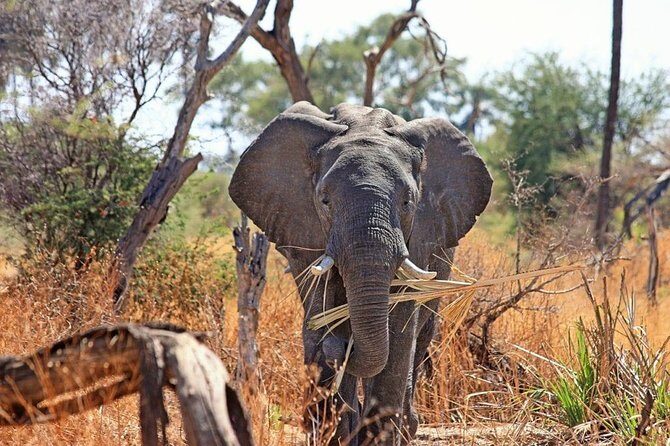 2 Days / 1 Night Join group safari - The Itinerary in Detail