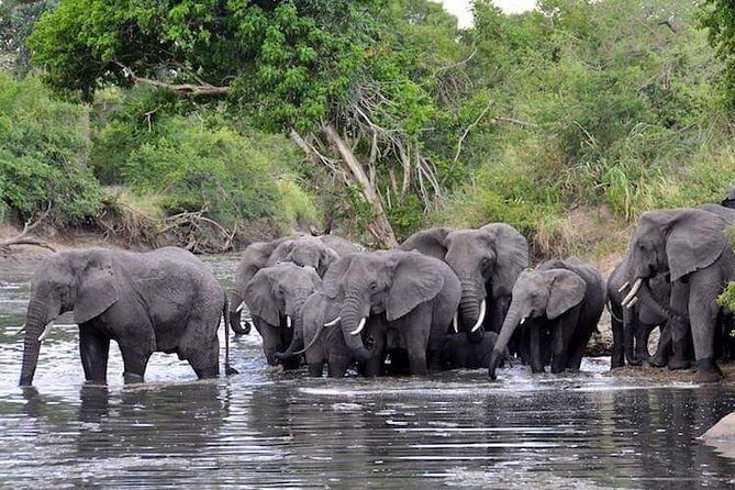 2 Days / 1 Night Join group safari - Who Is This Tour Best For?