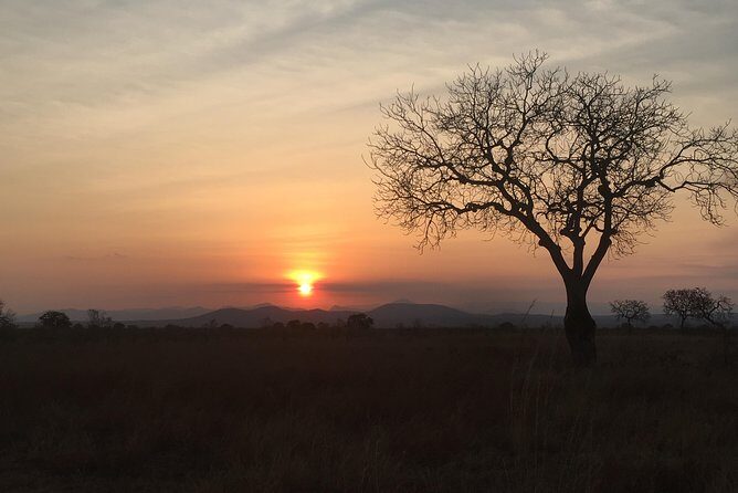2 Days 1 Night Mikumi National Park - FAQs