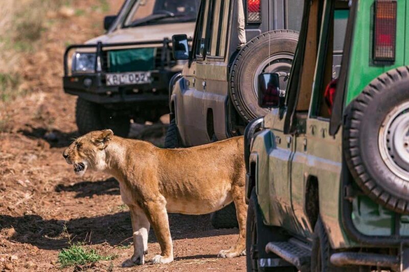 2-Days 1-night Nyerere National Park by flight from Zanzibar - FAQ