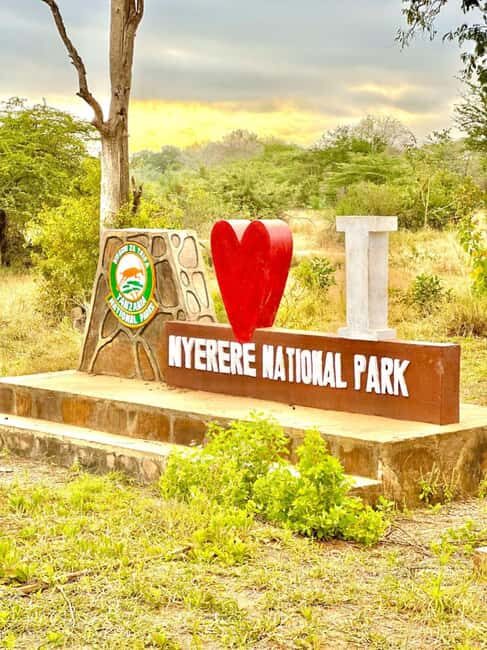 2 Days 1 Night Nyerere National Park from Zanzibar by flight - Key Points