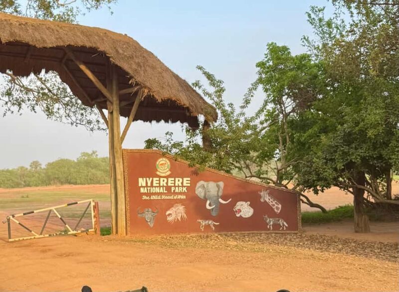 2 Days 1 Night Nyerere National Park from Zanzibar by flight - Authentic Experiences Backed by Feedback