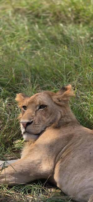2 Days 1 Night Nyerere National Park from Zanzibar by flight - FAQ