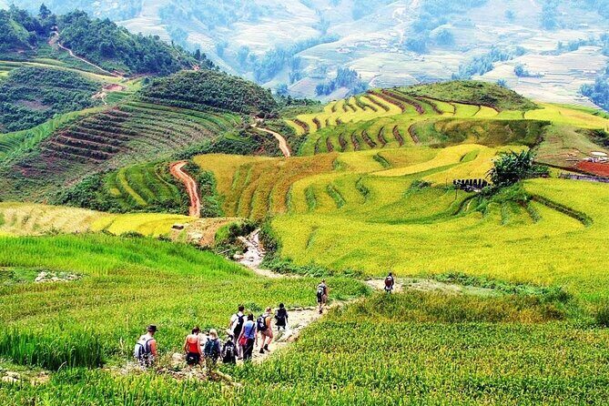 2 days 1 Night Sapa Trekking Group Tour - Why This Tour Stands Out