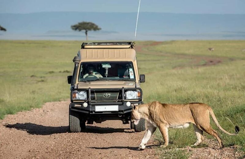 2 Days 1 Night Selous Fly-in Safari from Zanzibar - Key Points
