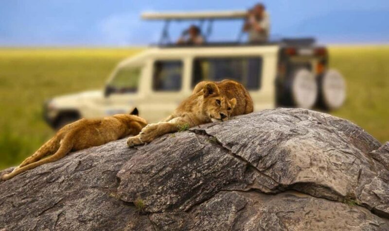 2 Days 1 Night Selous Fly-in Safari from Zanzibar - FAQ