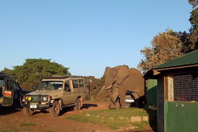 2 Days / 1 Night Tanzania Safari Tour - Key Points