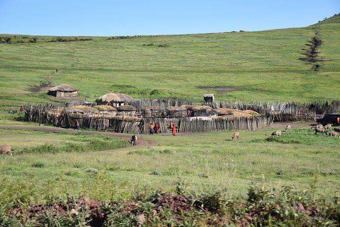 2 Days / 1 Night Tanzania Safari Tour - Day 1: Exploring Tarangire National Park