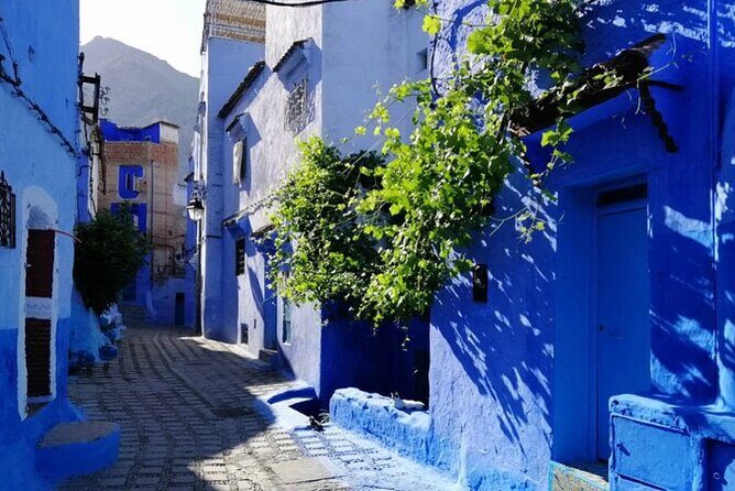 2 Days, 1 night to Blue city Chefchaouen from Casablanca or Rabat - Key Points