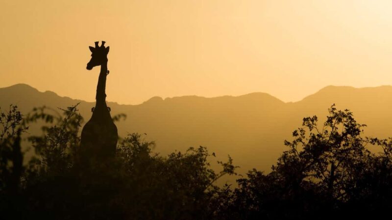 2 days 1 night to nyerere park from zanzibar by flight - Who Will Enjoy This Tour?