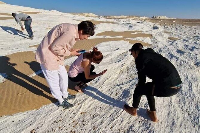 2 Days 1 Night to White and Black Desert from Cairo or Giza - What Do Travelers Say? Authentic Perspectives