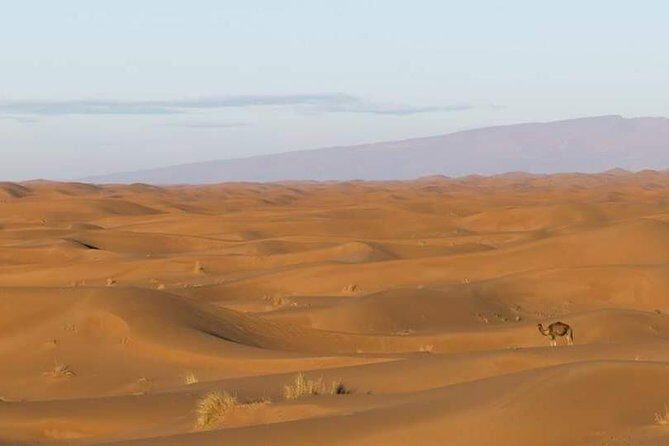 2 Days/1 Night Tour From Mhamid to Erg Chigaga - Key Points
