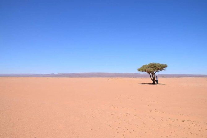 2 Days/1 Night Tour From Mhamid to Erg Chigaga - Who Should Consider This Tour?
