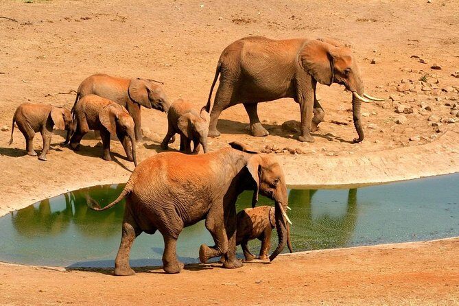 2 Days (1 night); Tsavo East & Saltlick Safari: - Key Points