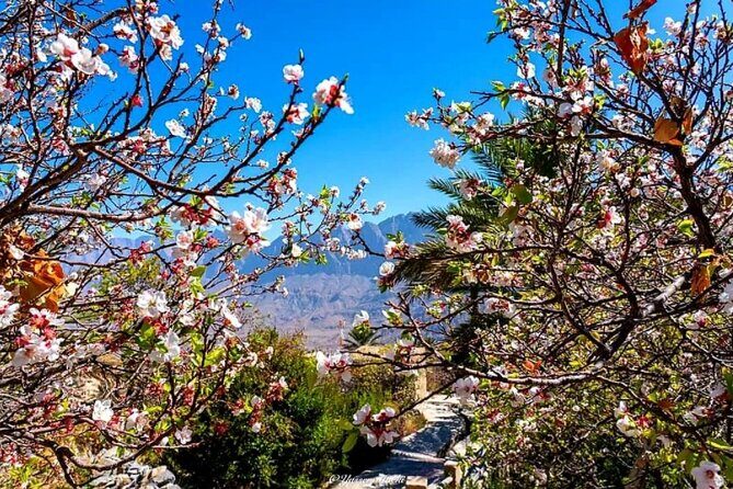 2 Days 1 Nights Private Trip to Wakan - In The Sum Up