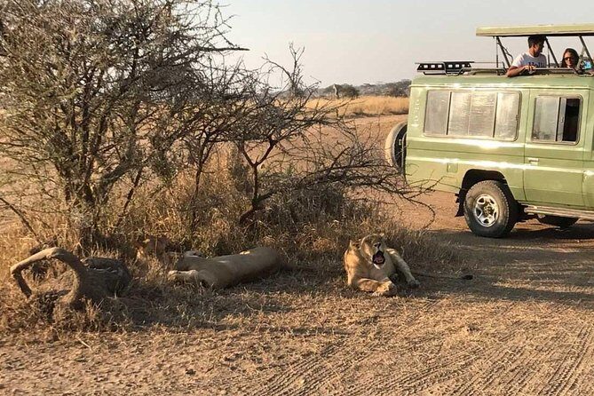 2 Days Africa Safari - Pricing & Value Analysis