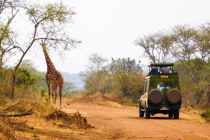 2 Days Akagera National Park Wildlife Safari - Introduction