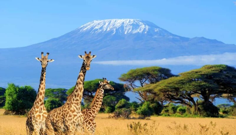 2 days Amboseli National Park Private Safari & Masai village - What’s Included and What to Consider