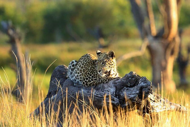 2 days Amboseli National Park Safari - Key Points