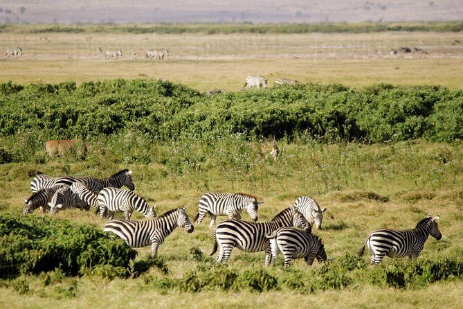 2 days Amboseli National Park Safari - What’s Included and What’s Not